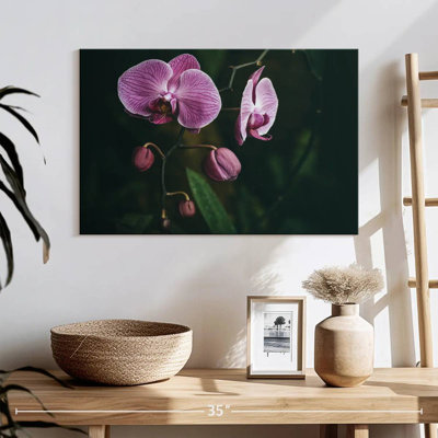 Fleurs d'orchidées Harnek