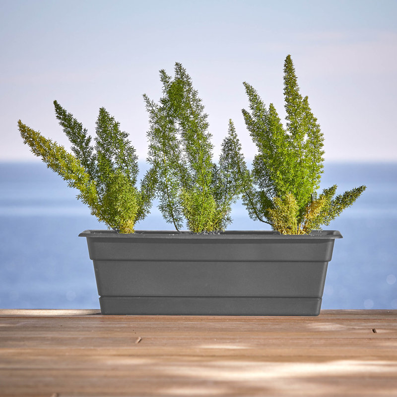 Dura Cotta Traditional Plastic Indoor/Outdoor Rectangle Window Box Planter with Attached Saucer, Charcoal