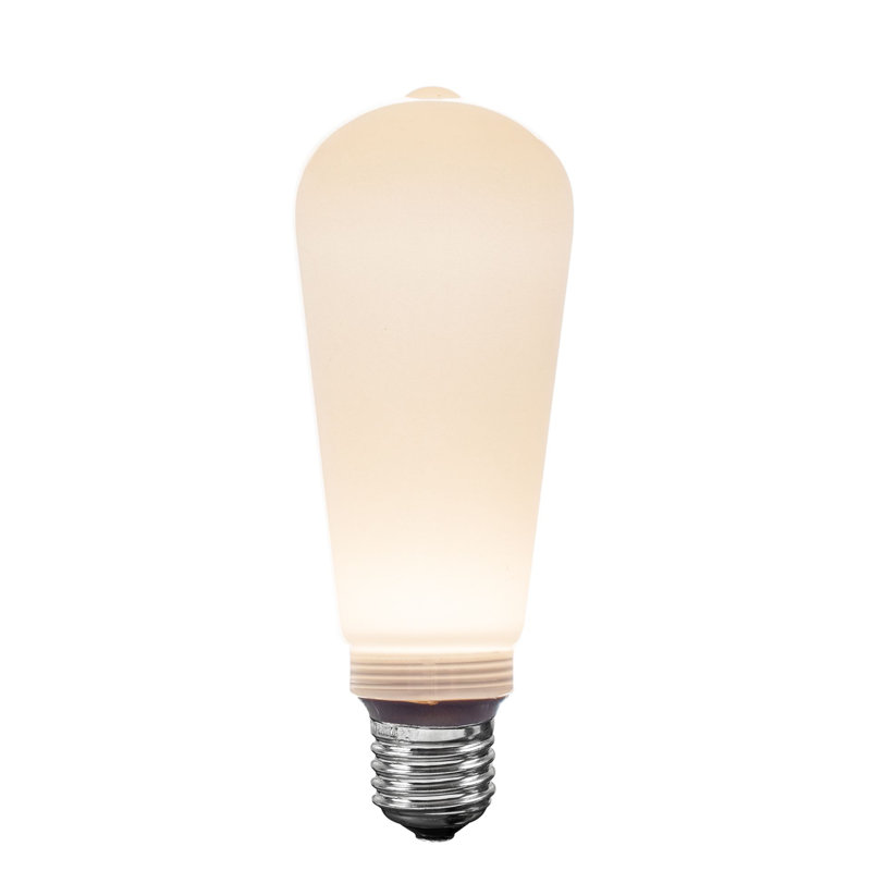 Ampoules de remplacement à filament intérieur / extérieur à filament DEL Festor Living Velora ST19 + COB à DEL, blanc chaud 2700K, culot moyen E26, 3 watts