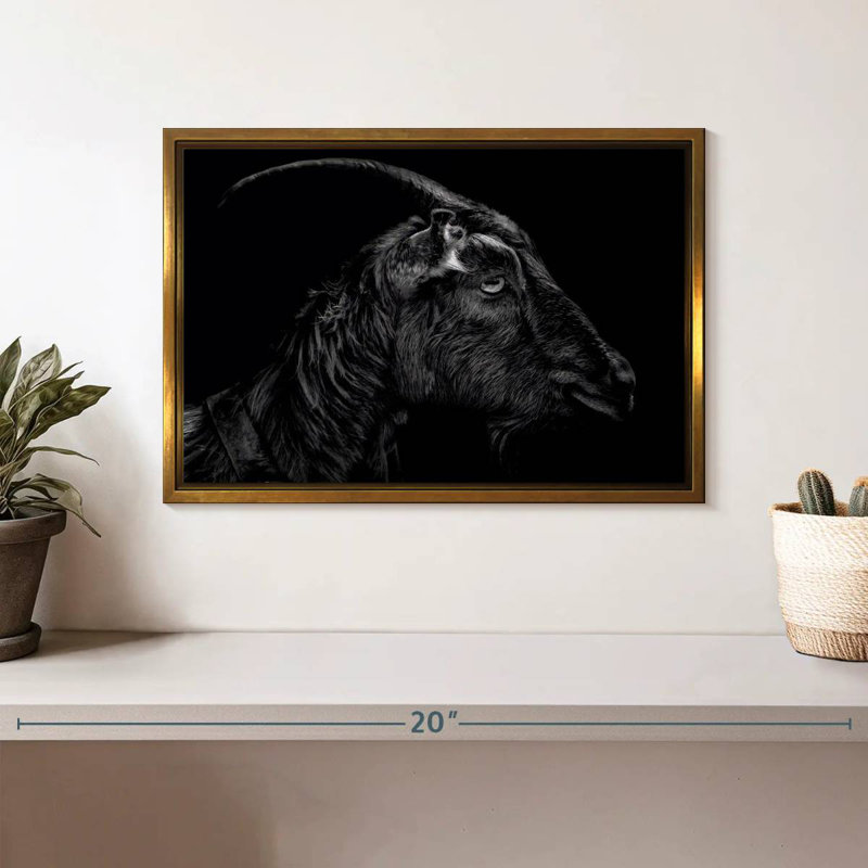 Monochrome Horned Goat, Floating Frame Gold, 13" X 9"