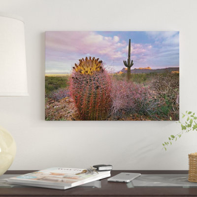 «Saguaro and Giant Barrel Cactus with Panther and Safford Peaks in Distance, Saguaro National Park, Arizona», reproduction de photo sur toile