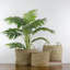 Table ronde et paniers de plancher-50826610-50826611