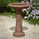 The Essential Birdbath