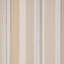 Siders Stripe-1195786685