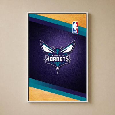 Charlotte Hornets NBA, art mural