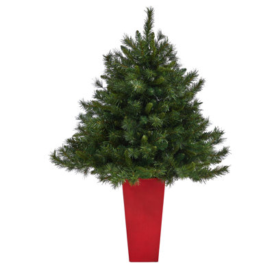 Wyoming Easy Set-Up 4.5' Lighted Christmas Tree