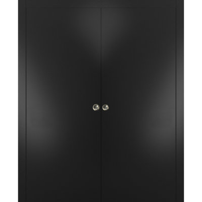 Planum Flush Wood Sliding Closet Black Doors