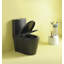 Toilette allongée une pièce à fixation au sol Créationstry GPF (siège inclus)