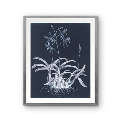 Laelia Autumnalis Framed Photographic Print