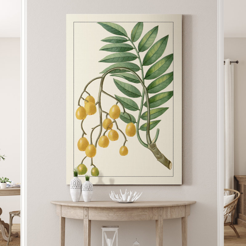 «Turpin Exotic Botanical IX», reproduction d'art sur toile tendue, H 12 po x l 8 po x P 1 po