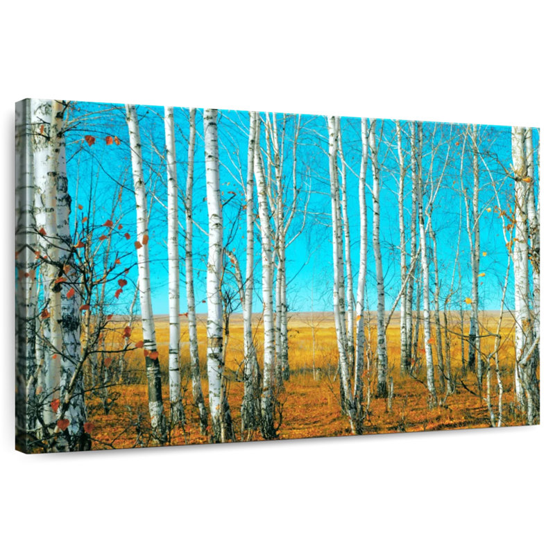 Harnek Birch Forest In October, 34" H x 51" W