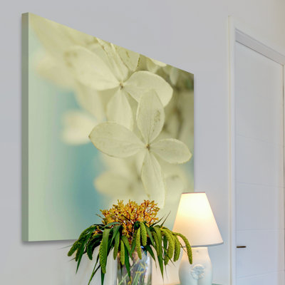 "Hydrangea on Turquoise" Print on Wrapped Canvas