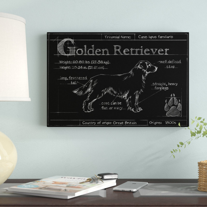 Blueprint Golden Retriever by Ethan Harper - Painting Print, 30cm H x 46cm W, Wrapped Canvas