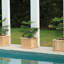 Barros Outdoor Wood Planter Box New house beauty and hope Raised Garden Bed-1941498710-1945248150
