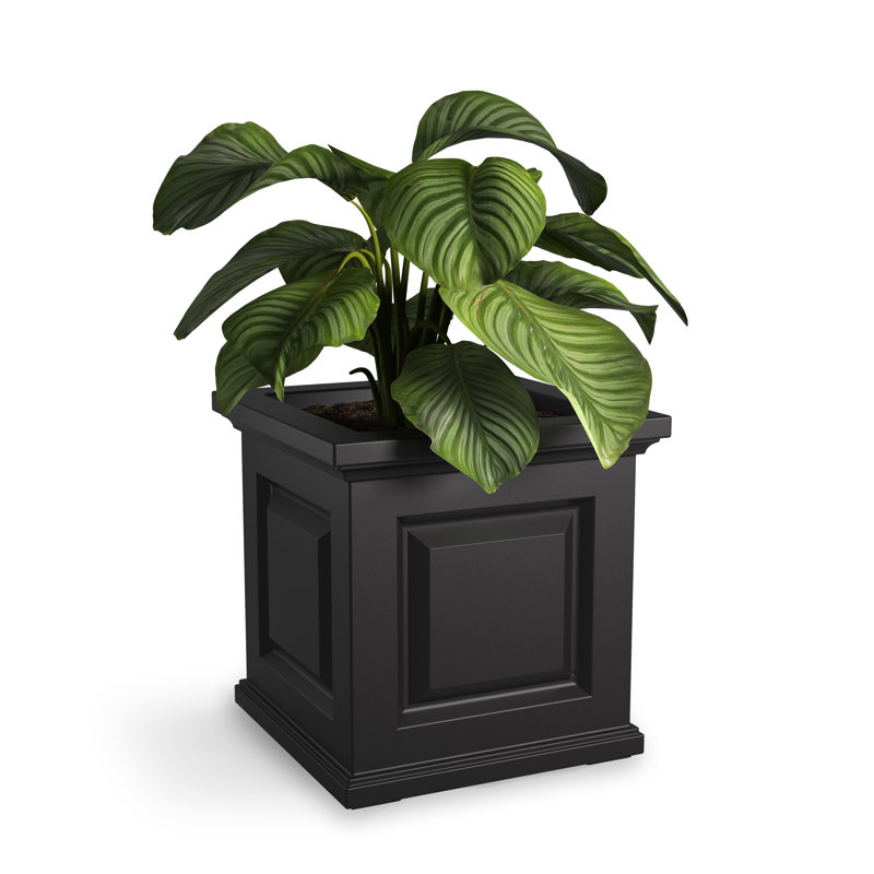 Nantucket Square Resin Planter Box with Water Reservoir, Black, 16'' H x 16'' W x 16'' D