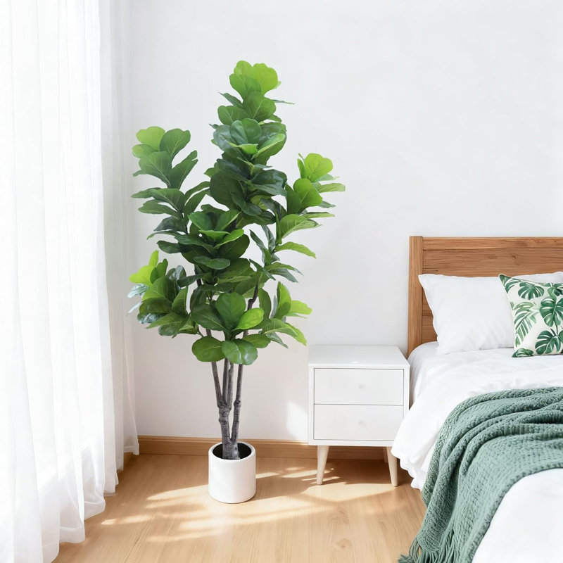 84cm Plant