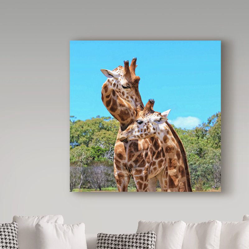 «Two Giraffes Wildlife» par Yareny, reproduction de photo sur toile tendue, H 14 po x l 14 po x P 2 po