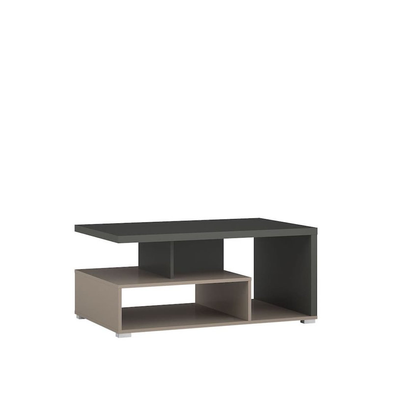 Siward Coffee Table with Storage