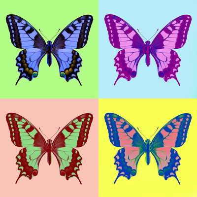 Adelric Butterfly Illustration - Wrapped Canvas Print