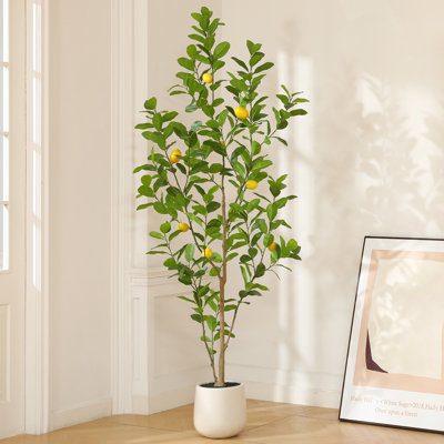 Adcock Artificial Plastic Lemon Tree in Pot, Pre Potted Faux Greenry Lemon Plant for Home Decor