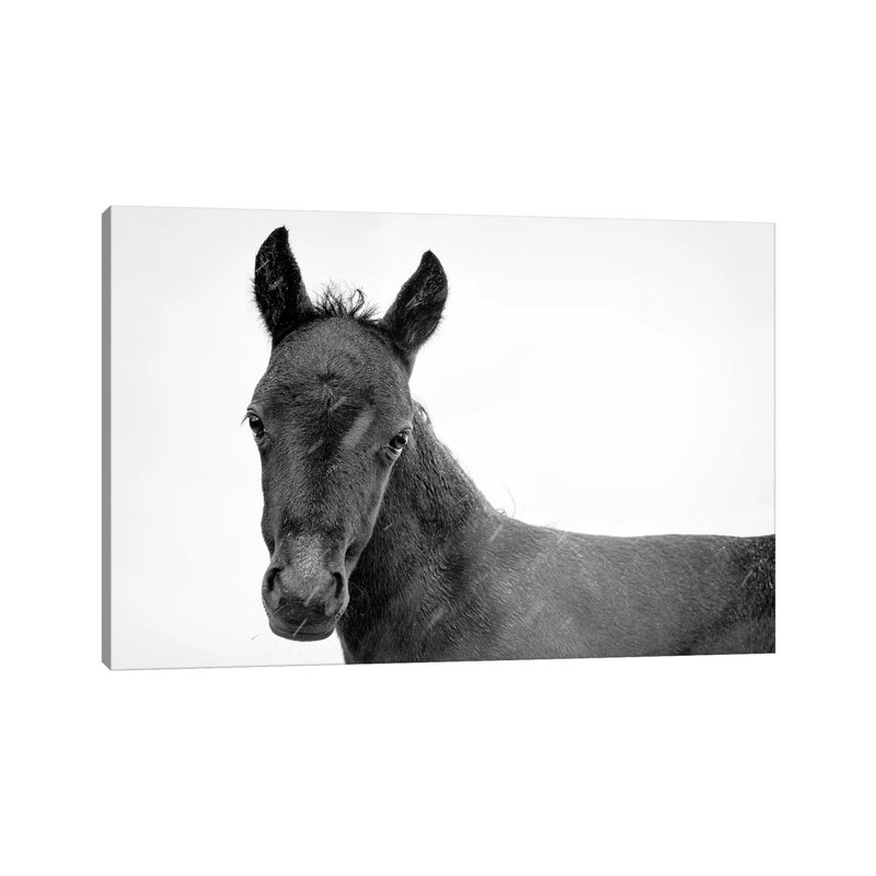 Copenhagen Abstract by WallDecorAddict - Wrapped Canvas Print, 152.5 cm H x 101.5 cm W