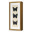 Flutter 5 Print by Todaro, Katie