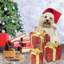 Ensemble de 3 boîtes-cadeaux de Noël illuminées à DEL pour décoration d'extérieur-131111722