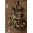 Rustic Brown Mistletoe-1899246007