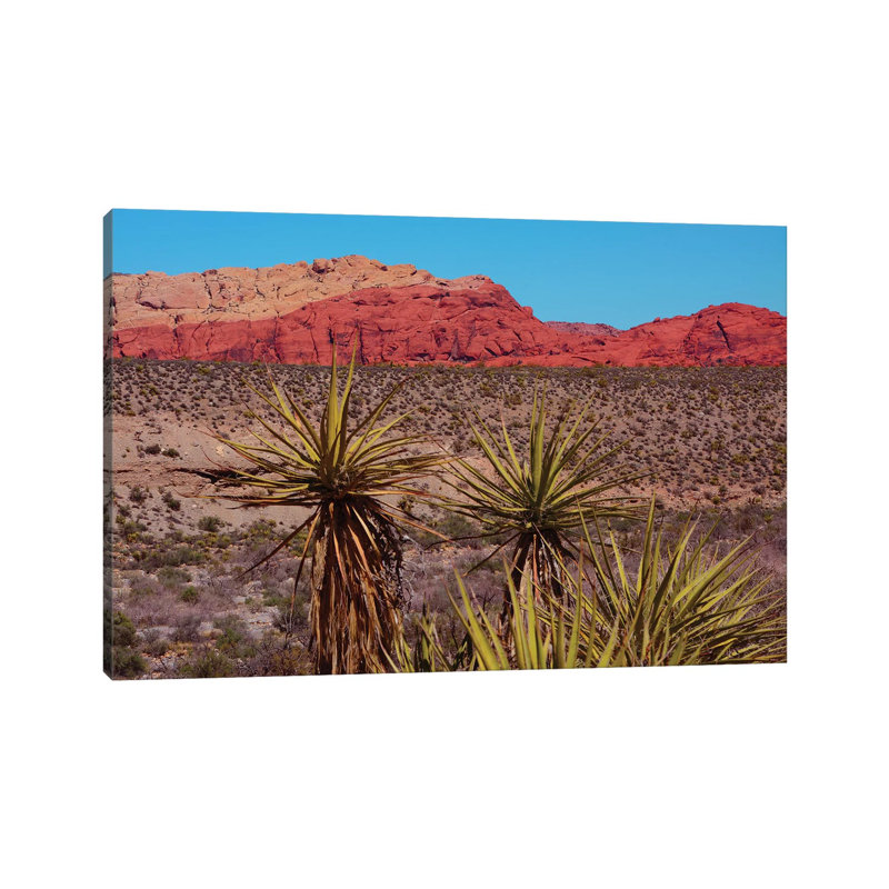 Soaptree Yucca, Red Rock Canyon National Conservation Area, Nevada, USA 1 Piece Wrapped Canvas Wall Art