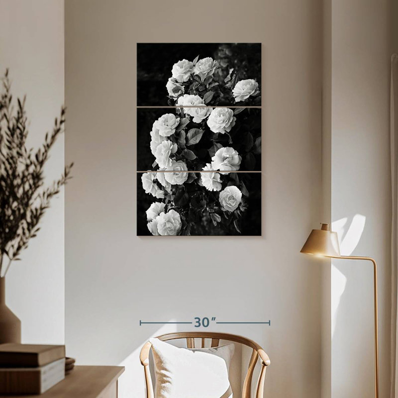 Monochrome Rose Bush