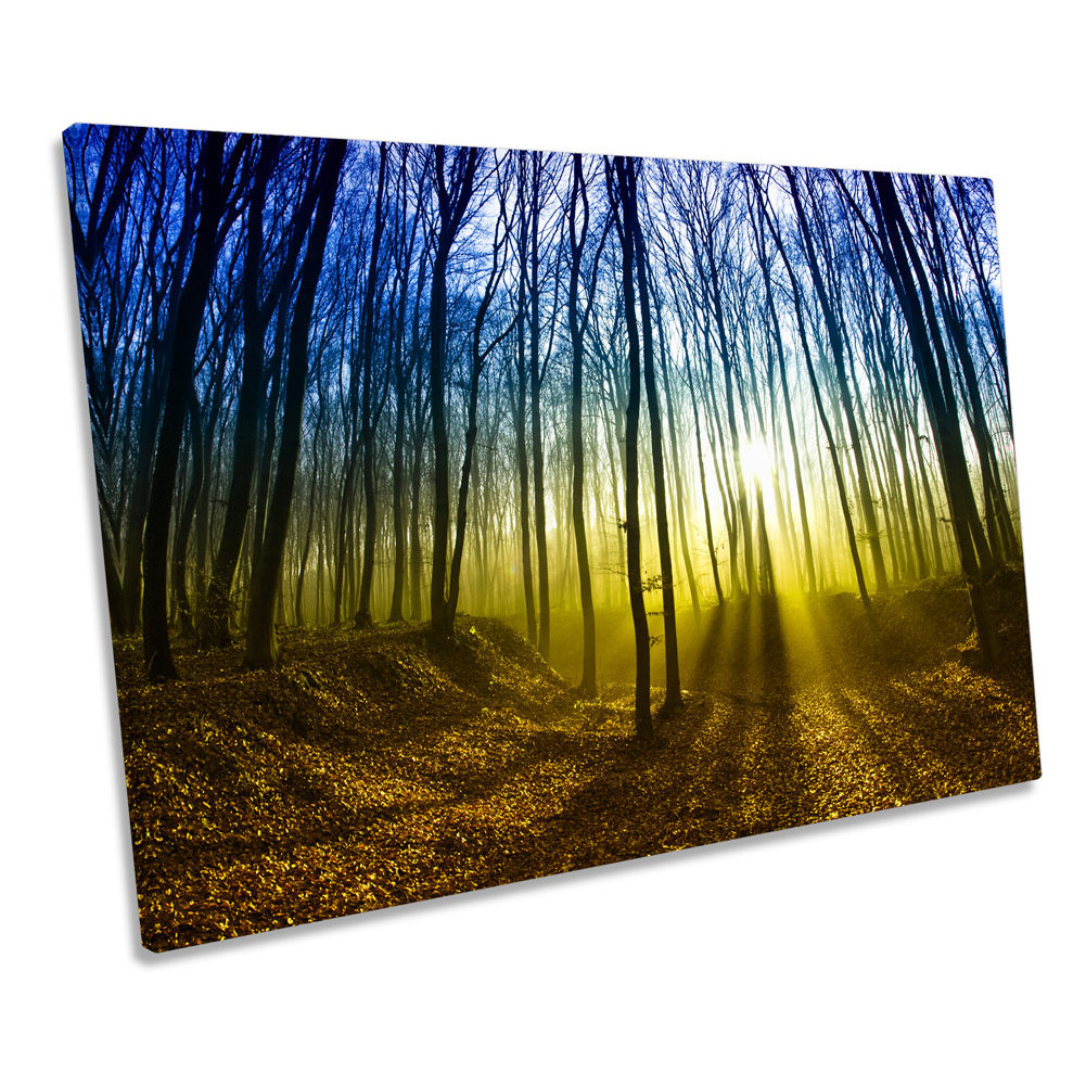 Forest Sunset Trees - Wrapped Canvas Print