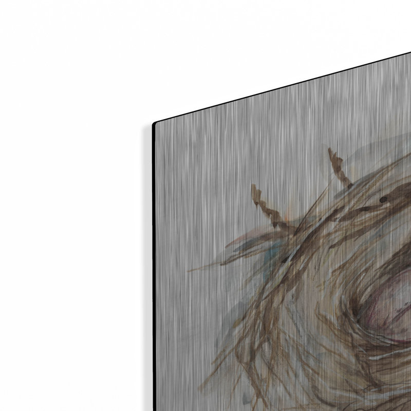 «Bird Nest Study IV» par Ethan Harper, H 24 po x l 24 po