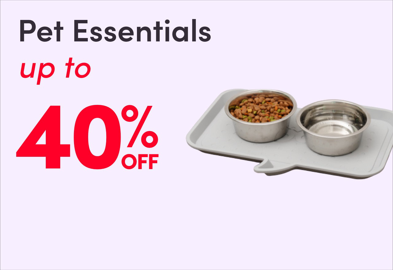 Wayfair Canada Online Home Store for Furniture, Decor, Outdoors