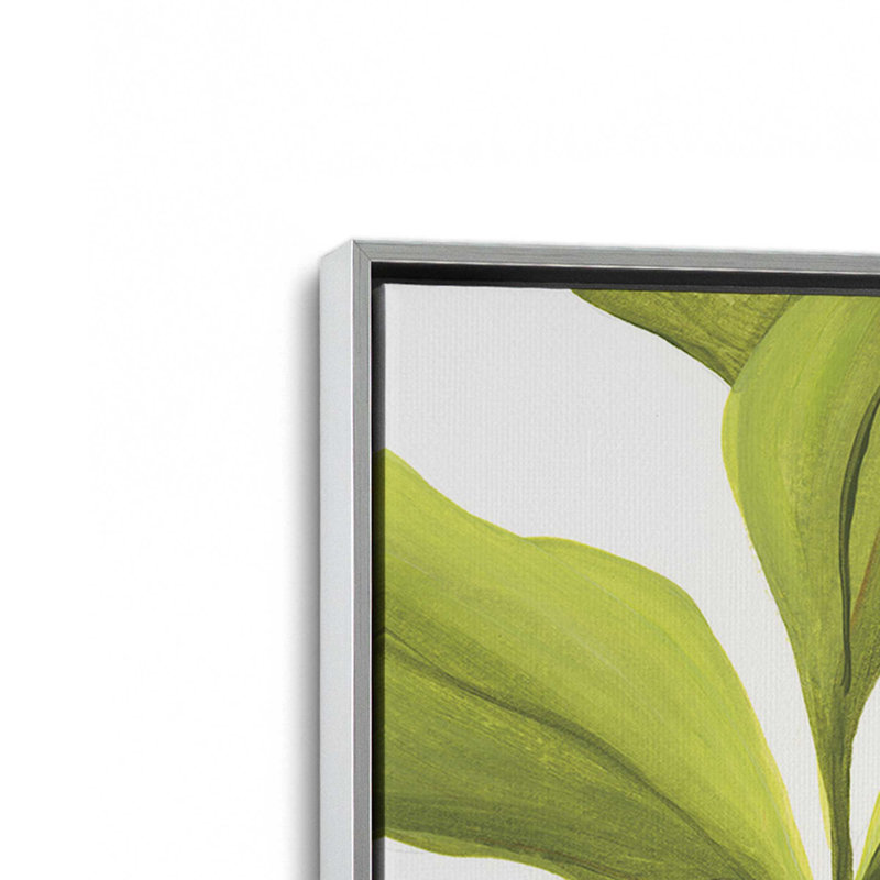 «Pots Plants» par Yvette St. Amant, reproduction d'art, H 24 po x l 18 po, Cadre flottant, Argent argent