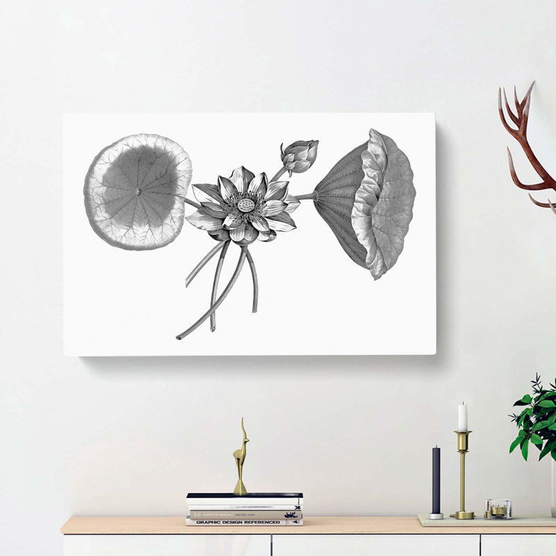 Sacred Lotus Flowers - Wrapped Canvas Print, 50cm H x 76cm W x 3cm D