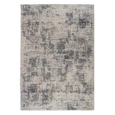 Alynnai Transitional Abstract Durable Performance Gray Area Rug