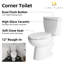 Toilette en coin Los Flexi Compact