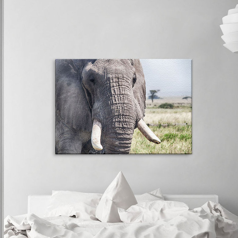 Print on Canvas, 100cm H x 150cm W