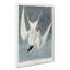 Great Tern Bird by John Audubon - Wrapped Canvas-55360673