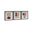Modern Vases Set Shadowbox Floral & Botanical Print by Oliver Gal, Black Frame, 16 x 20-1519935213-1519935209