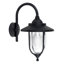 Springvale Black/Transparent Outdoor Wall Lantern