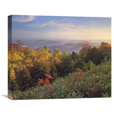 " Deciduous Forest in Autumn, Blue Ridge Mountains from Doughton Park, North Carolina " Print