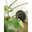 Horloge murale Paul
