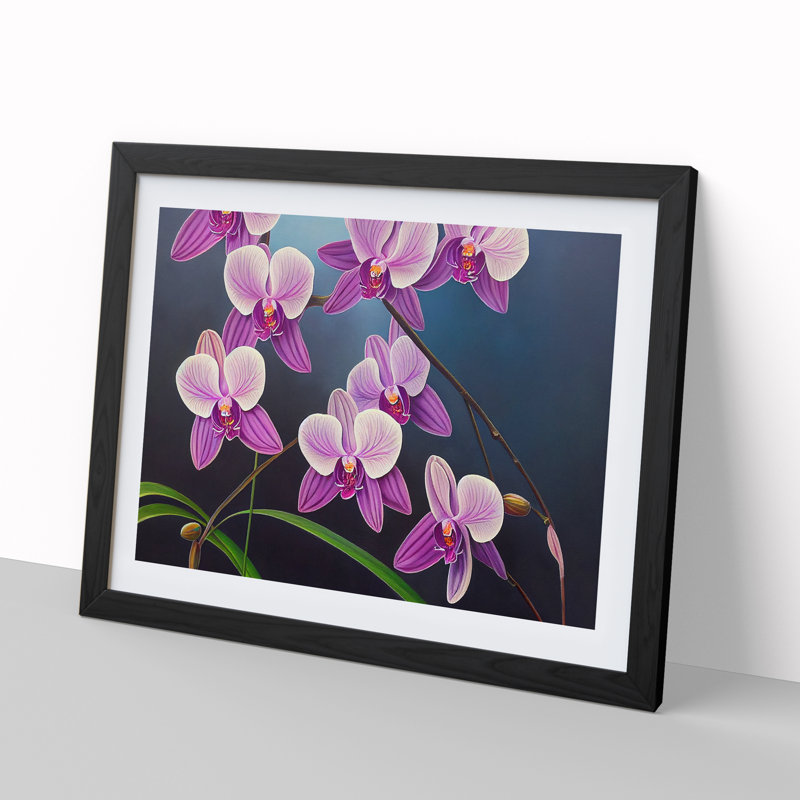 Sweet Orchid Flowers - Single Picture Frame Print, Black Framed, 46cm H x 64cm W x 2cm D