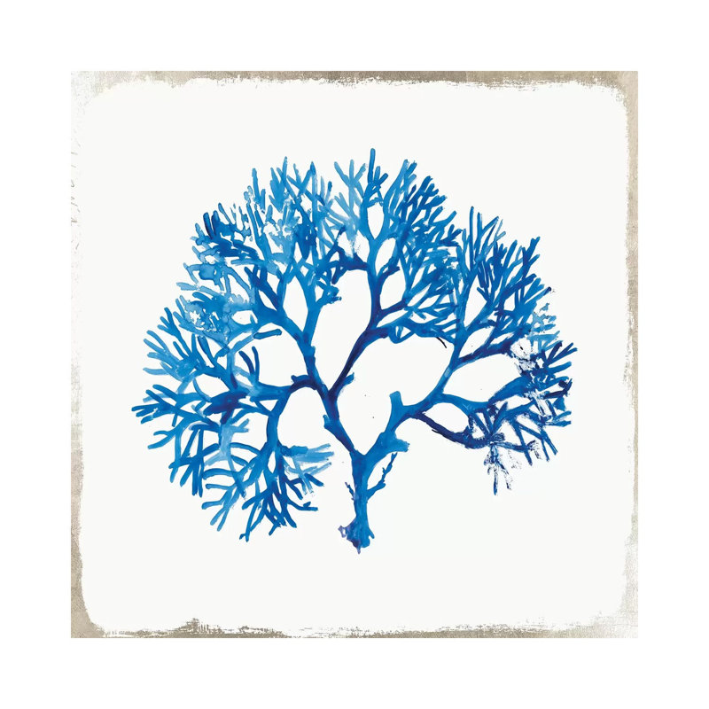 Blue Coral II by Aimee Wilson - Wrapped Canvas Painting, 30.48 cm H x 30.48 cm W