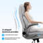 Chaise de bureau Mikhela