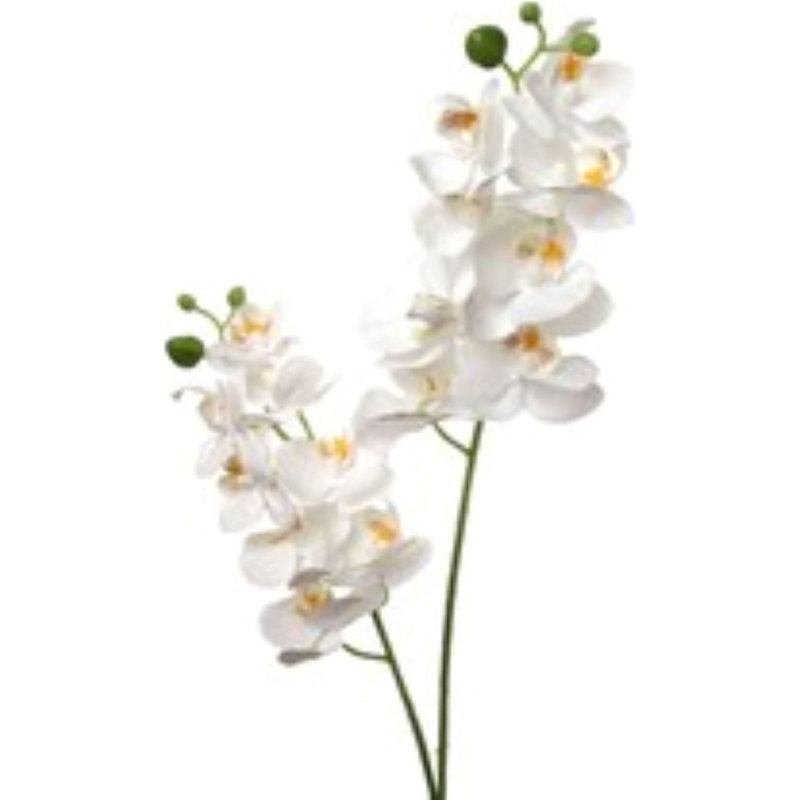 Vaporisateur d'orchidées phalaenopsis 22 po X2 avec 16 fleurs en soie - paquet de 3
