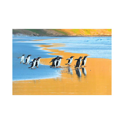 Early Birds - Gentoo Penguins Going Fishing by Elmar Weiss - Wrapped Canvas Painting