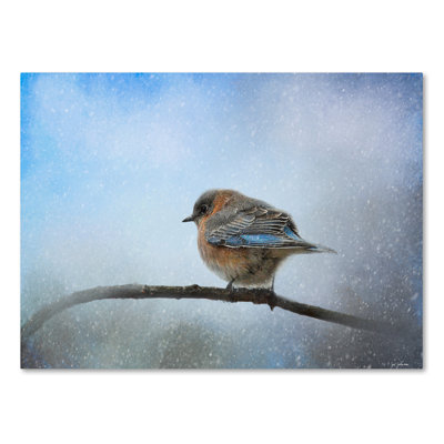 Vidur 'Bluebird in the Snow' Graphic Art Print on Wrapped Canvas