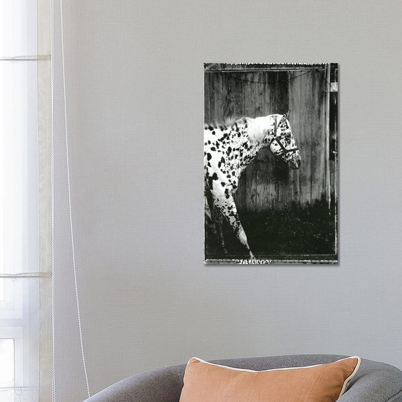 Equine Double Take I by Susan Friedman - Wrapped Canvas Print, 66.04 cm H x 45.72 cm W